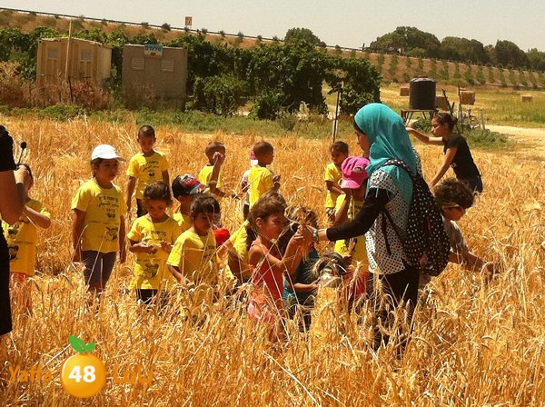 jamahery mokhayammm (20).jpg